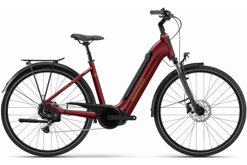 Bicicleta Winora Tria X11 Low 2026