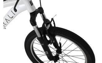 Bicicleta Rali Pro 1 2025