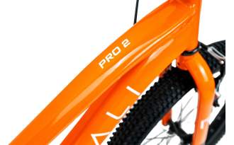 Bicicleta Rali Pro 2 2025