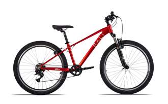 Bicicleta Rali Pro 1