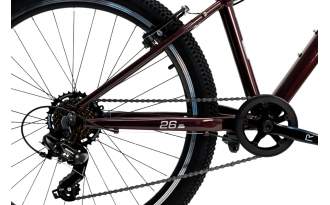 Bicicleta Rali Pro 1