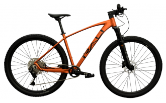 Bicicleta Rali R-Pro 2025