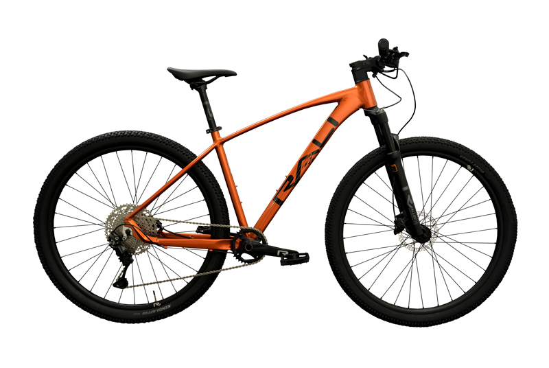 Bicicleta Rali R-Pro 2025