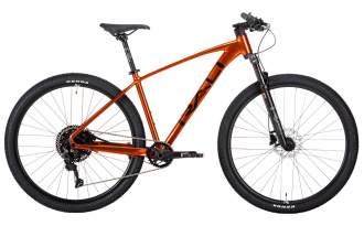 Bicicleta Rali ADV-1 2024