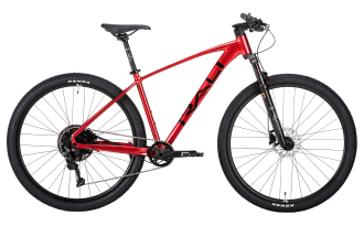 Bicicleta Rali ADV-1 2024