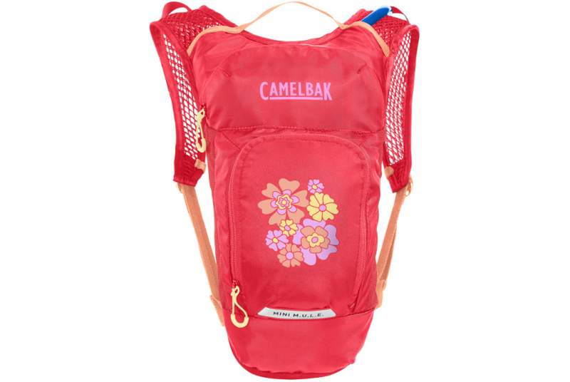 Mochila Camelbak Mini Mule