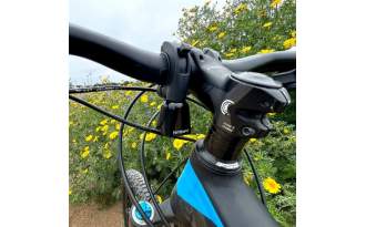 Timbre Timber Bell Bolt-On Yew