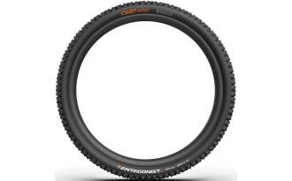 Cubierta Pirelli CAST Antagonist DW