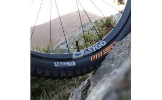 Cubierta Pirelli CAST Antagonist DW