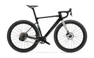 Bicicleta Wilier Rave SL Campagnolo Ekar GT 1X13