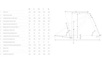 Bicicleta Focus Whistler 3.6 2022