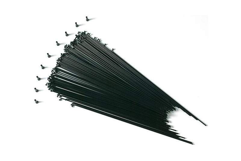 100 Radios negros Gurpil 272 X 2