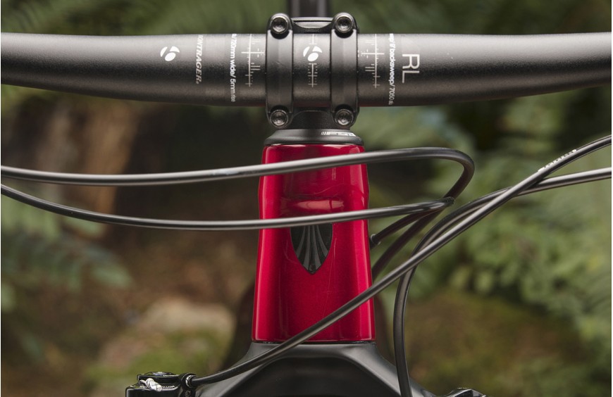 La American Beauty de Bicis Pasaje 